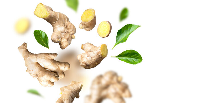 Cut out ginger. Creative food concept. Flying fresh ginger root, green leaves isolated on white background. With clipping path. Natural organic ginger for health, medicine, Spice for cooking