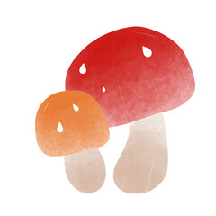 Mushroom 