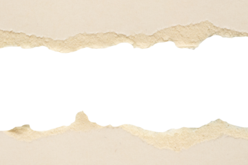 White ripped paper torn edges strips isolated on white background