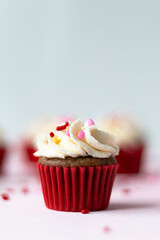 cupcake with icing and sprinkles