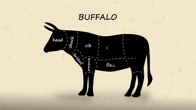 Butcher Diagram Sections of Buffalo Cut Animation