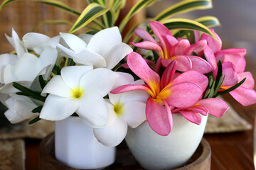 bouquet of blooming plumeria on the table
