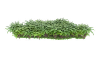 Tropical island on transparent background. 3d rendering - illustration