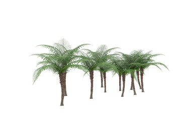 Tropical island on transparent background. 3d rendering - illustration