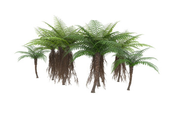 Tropical island on transparent background. 3d rendering - illustration