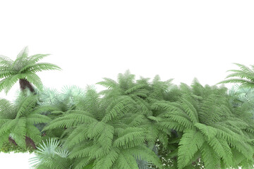 Tropical island on transparent background. 3d rendering - illustration