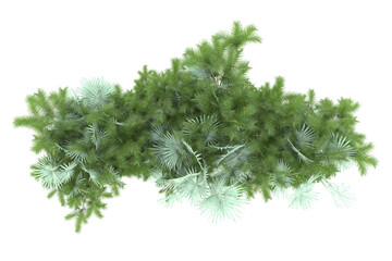 Tropical island on transparent background. 3d rendering - illustration