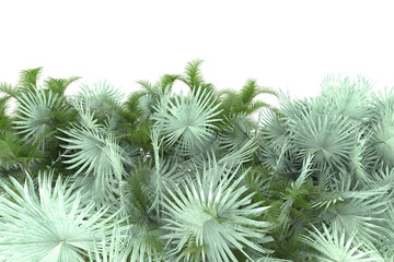 Tropical island on transparent background. 3d rendering - illustration