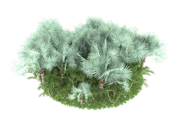 Tropical island on transparent background. 3d rendering - illustration