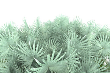 Tropical island on transparent background. 3d rendering - illustration