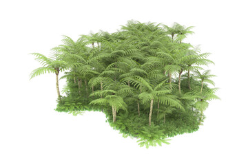 Tropical island on transparent background. 3d rendering - illustration