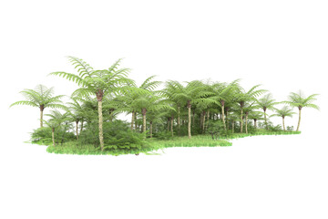 Tropical island on transparent background. 3d rendering - illustration