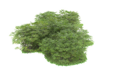 Fototapeta premium Tropical island on transparent background. 3d rendering - illustration