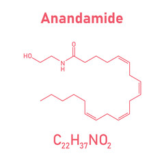 Chemical structure of Anandamide (C22H37NO2). Chemical resources for teachers and students. Vector illustration isolated on white background.