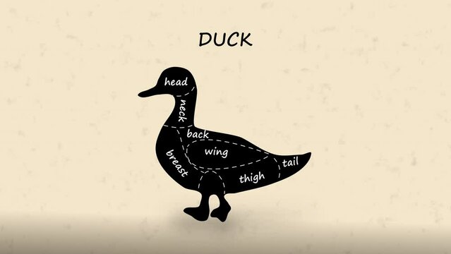 Butcher Diagram Sections of Duck Cut Animation