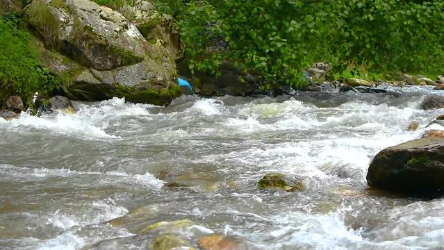Wild mountain river close up abundant clear stream. Detail static shot with stone and water flowing. Rock rapid in swift splashing water