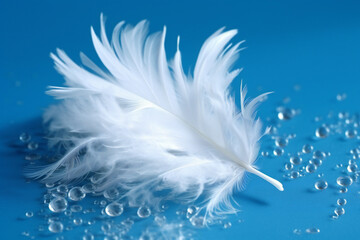 Feathered Wing on Soft Blue Background in Studio Shot.