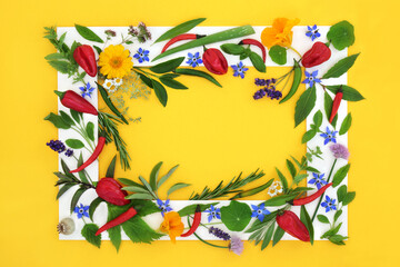 Fototapeta premium Herb spice and edible flower collection for food seasoning. Healthy organic food colorful composition with white frame on yellow background. Flat lay, copy space.