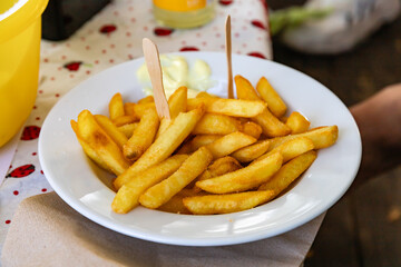 Close-up of a plate of french fries with mayonnaise.