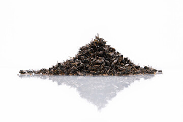 Heap of dead flies on a white background. A mound of dead insects.  Many dead flies on white...