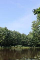 Fototapeta premium Landscape, view of the lake and the shore, green trees and water surface