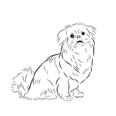 dog line art style illustration