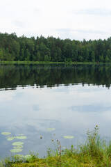 Landscape, view of the lake, river and the shore. Background for design