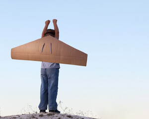 Happy boy with cardboard boxes of wings against sky dream of flying © Chepko Danil
