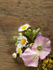 Wild flowers on old grunge wooden background (Aster amellus, Buttercup, Lucerne, Cirsium,...