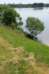 Landscape, view of the lake and the shore, green trees and water surface