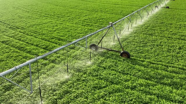 Aerial shot of the sprinklers watering Alfalfa on a circular farm in the Owens Valley in California