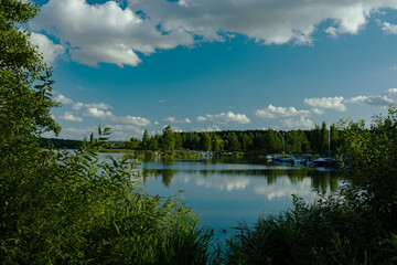 Landscape, view of the lake and the shore, green trees and water surface