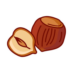 Vector illustration of a hazelnut peeled whole, chopped into halves. . Vector icon on the white background.