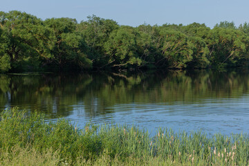 Landscape, view of the lake and the shore, green trees and water surface