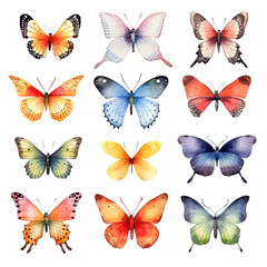 Obraz na płótnie Canvas set of butterflies isolated