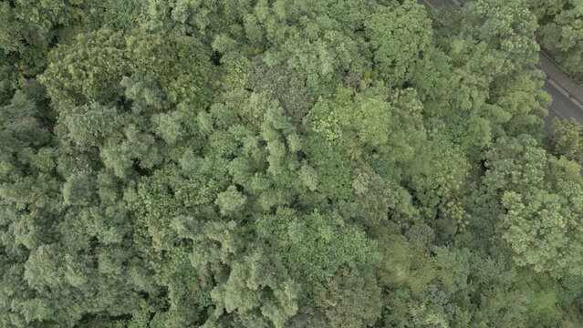 View in Taipei city streets.