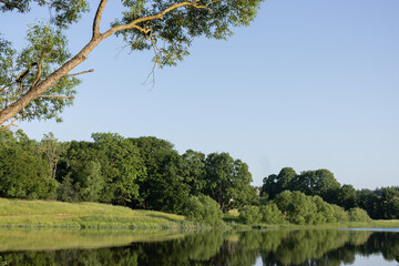 Landscape, view of the lake and the shore, green trees and water surface