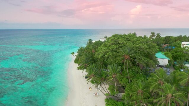 Tropical beach with blue water and palm trees, Thinadhoo island, Vaavu Atoll, Maldives at sunset time. Aerial drone view 4K.