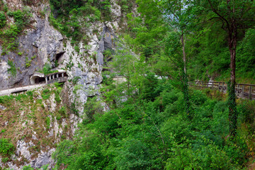 The Tolminka River flowing through Tolmin Gorge in the Triglav National Park, north western Slovenia, Europe