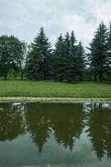 Landscape, view of the lake and the shore, green trees and water surface