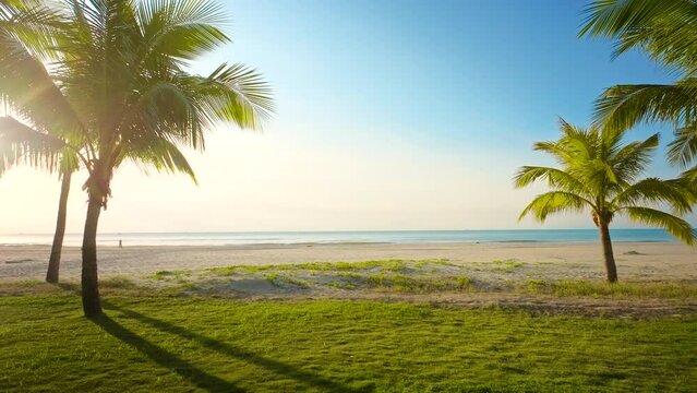 Tropical beach with palm trees in the morning