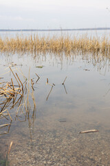 Landscape, view of the lake and the shore, green trees and water surface