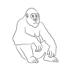Hand-drawn gorilla. Sketch vector illustration.