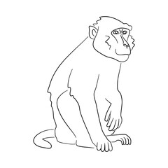 Silhouette of a Baboon made in sketch style. Vector illustration.