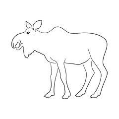 Silhouette of a Moose made in sketch style. Vector illustration.