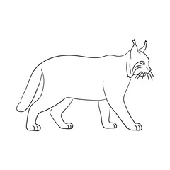 Silhouette of a Bobcat made in sketch style. Vector illustration.