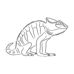 Silhouette of a Chameleon made in sketch style. Vector illustration.