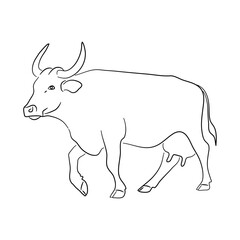 Hand-drawn Cow. Sketch vector illustration.