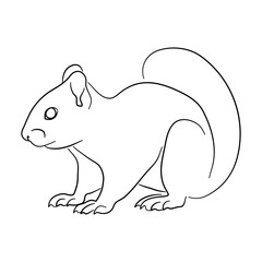 Silhouette of a Squirrel made in sketch style. Vector illustration.