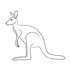 Hand-drawn Kangaroo. Sketch vector illustration.